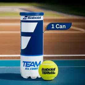 Babolat Team All Court Tennis Balls Can (1 Can)