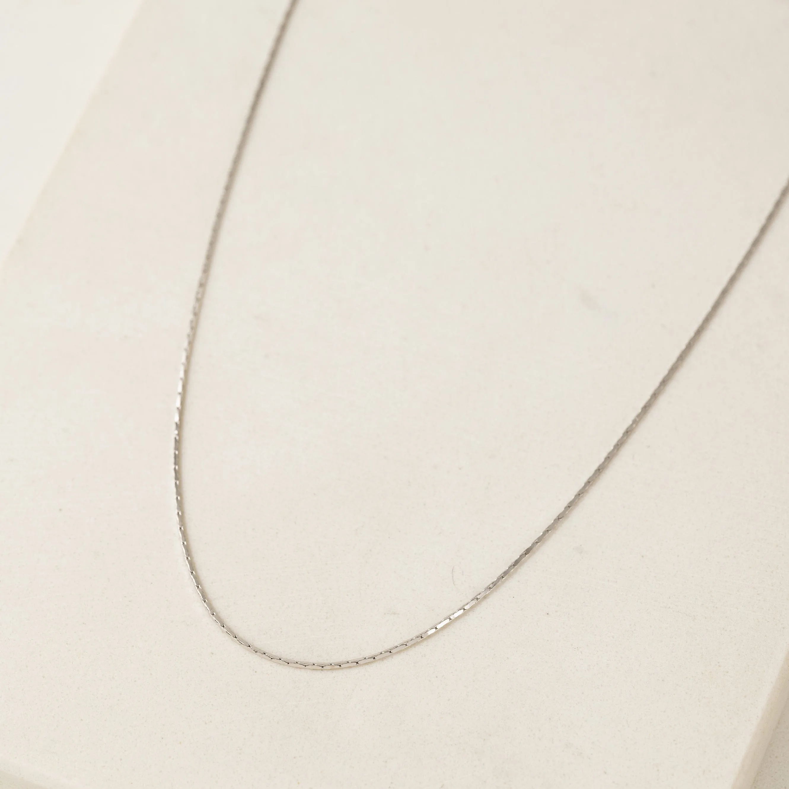 Dion Long Necklace Silver