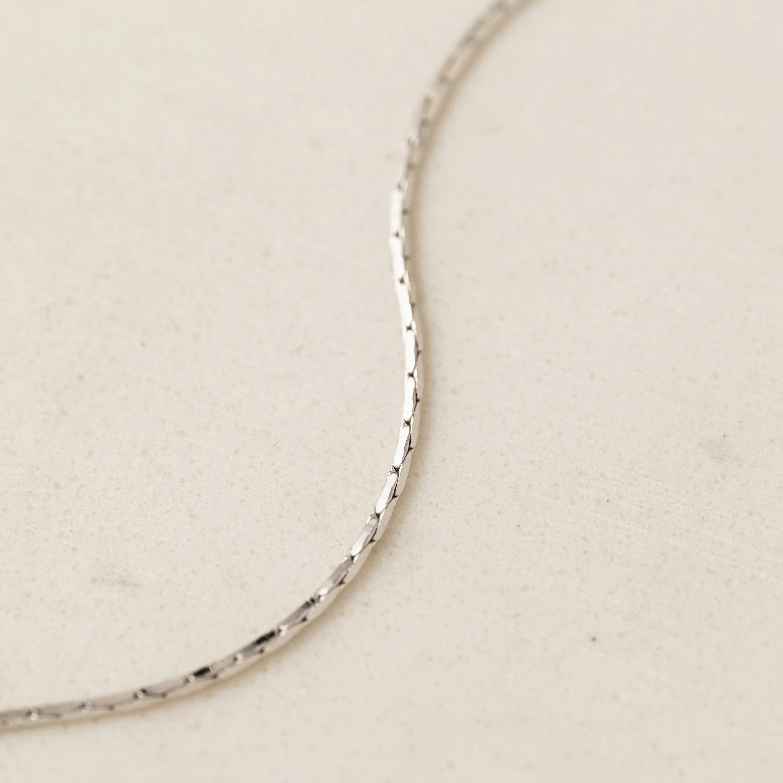Dion Long Necklace Silver