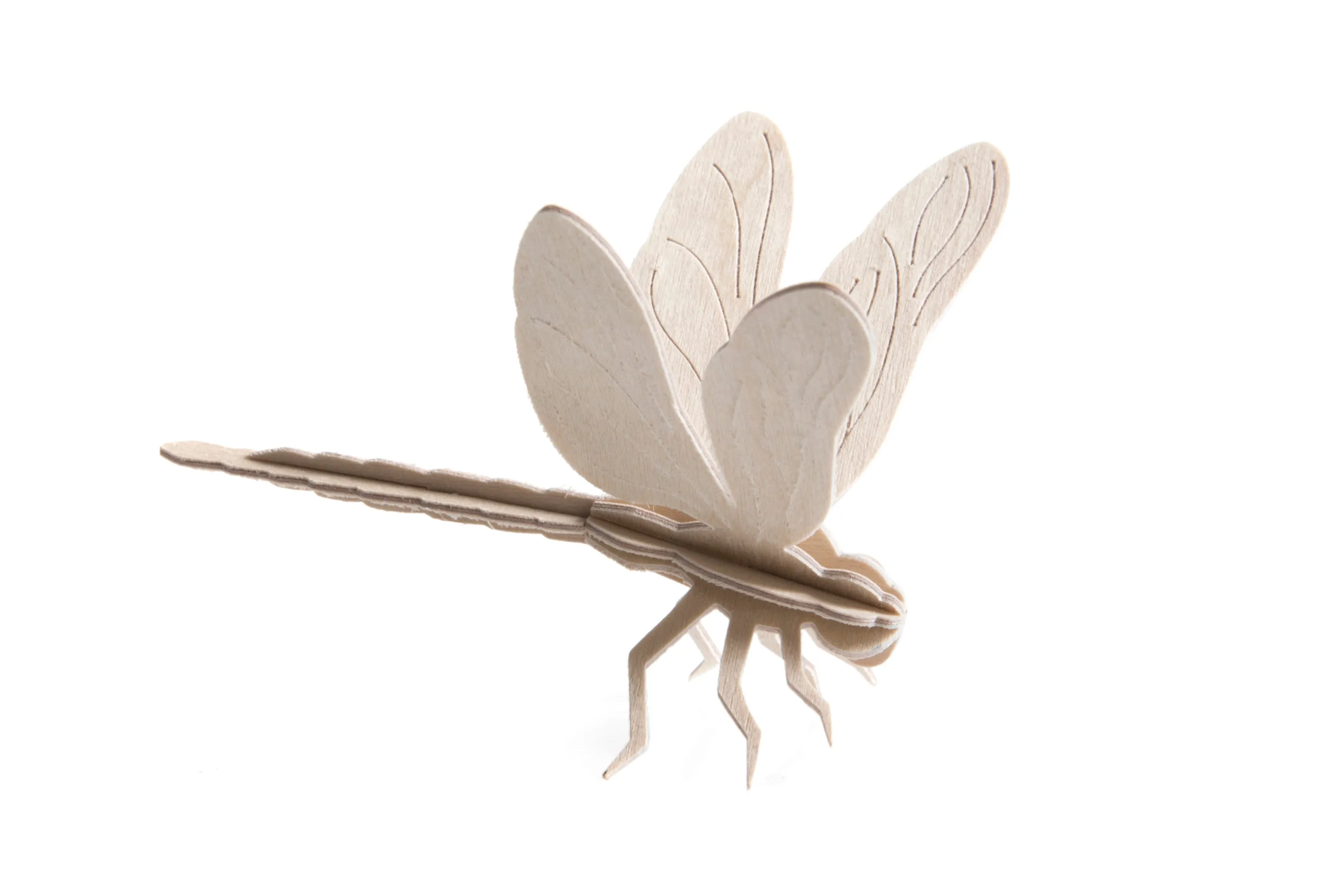 LOVI | Dragonfly