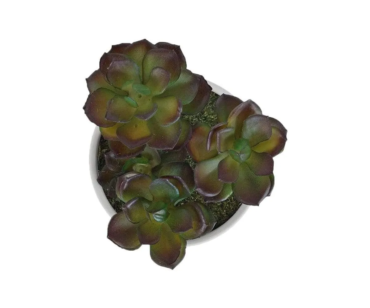 Potted Deep Green Faux Succulent