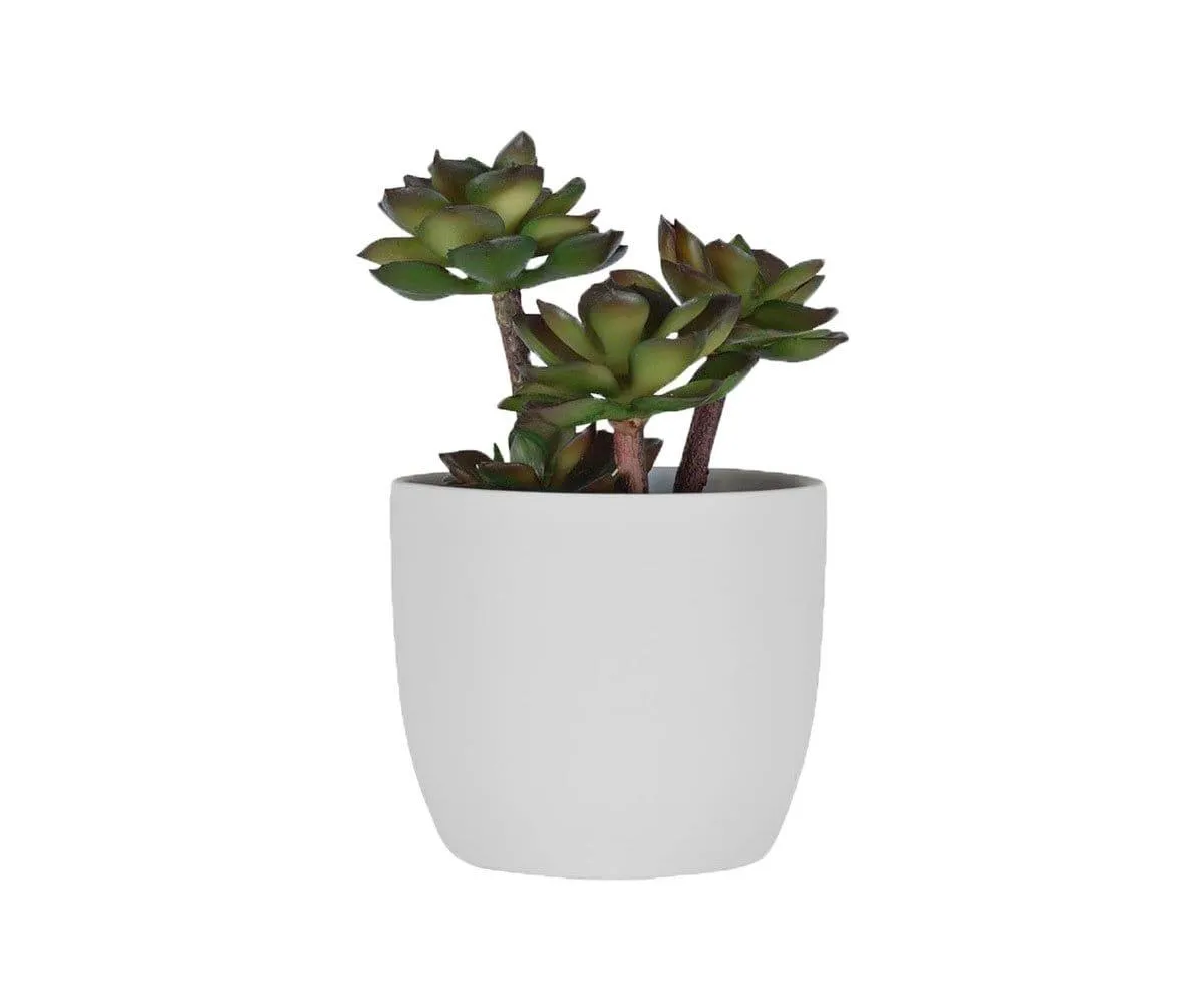 Potted Deep Green Faux Succulent